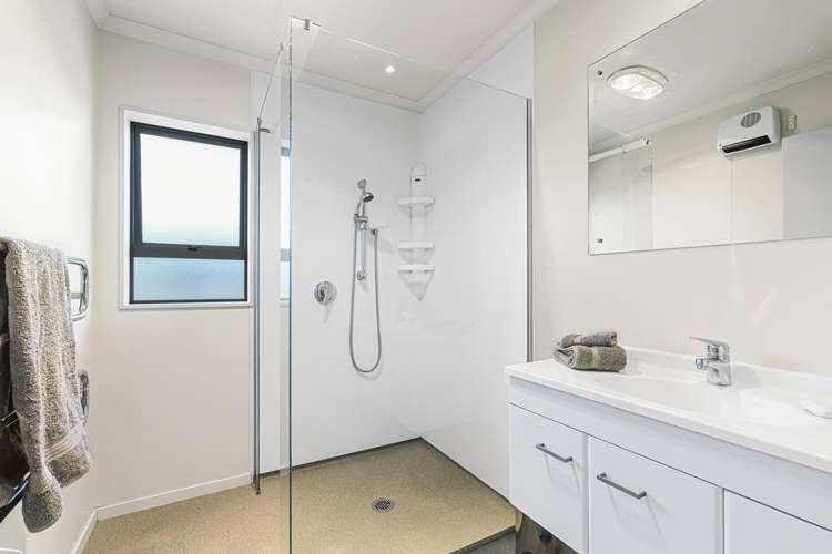 153A Carrington Street Vogeltown_15