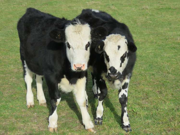 38 Winslow Willowby Road Winslow_7