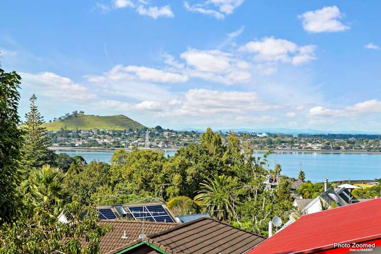 53a Pleasant Street Onehunga_1