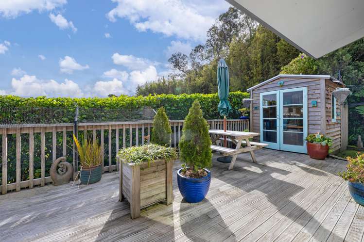 8 Seabreeze Way Raglan_15
