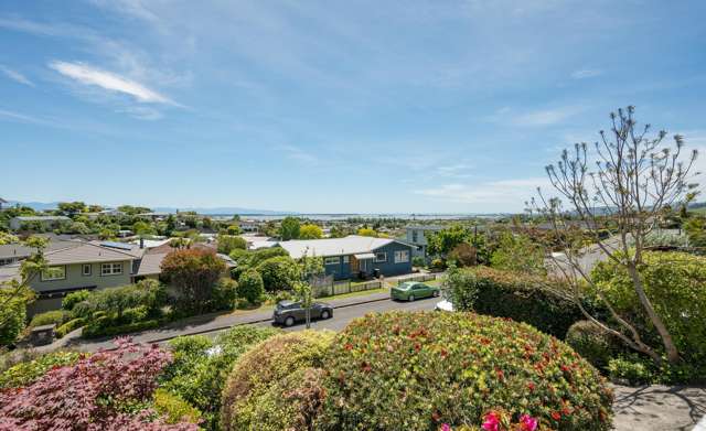 59 Marlborough Crescent Richmond_2