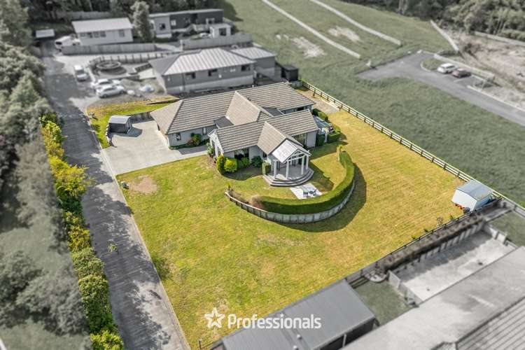 8 Tuhua Lane Brown Owl_25