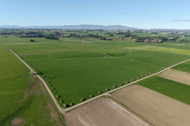 325 Reid Line East Bunnythorpe_11