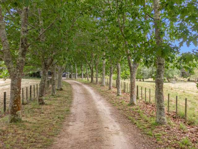 180 Paierau Road Masterton_2
