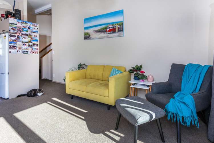 113a Williamson Road Whangamata_21