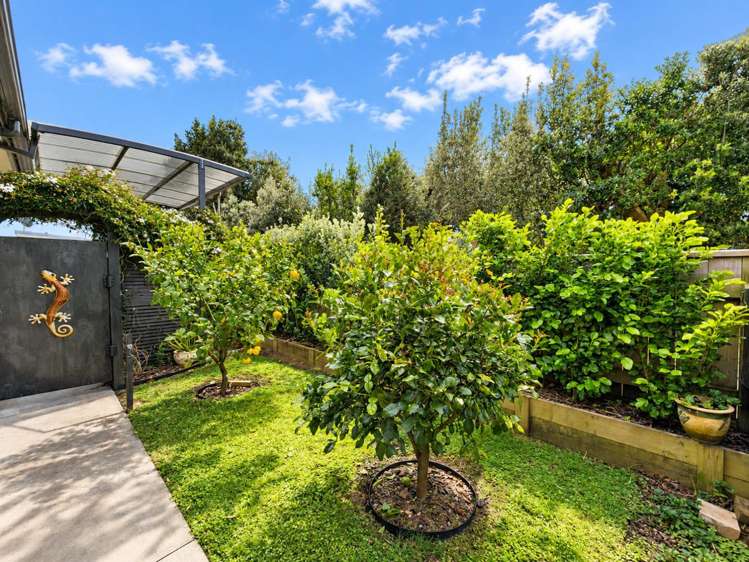 42 Donnelly Street Oakura_22