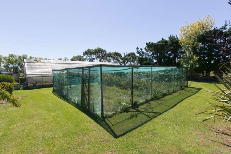 822 Kairanga Bunnythorpe Road Kairanga_36