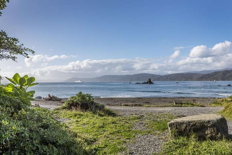 19 Steeple Lane Seatoun_19