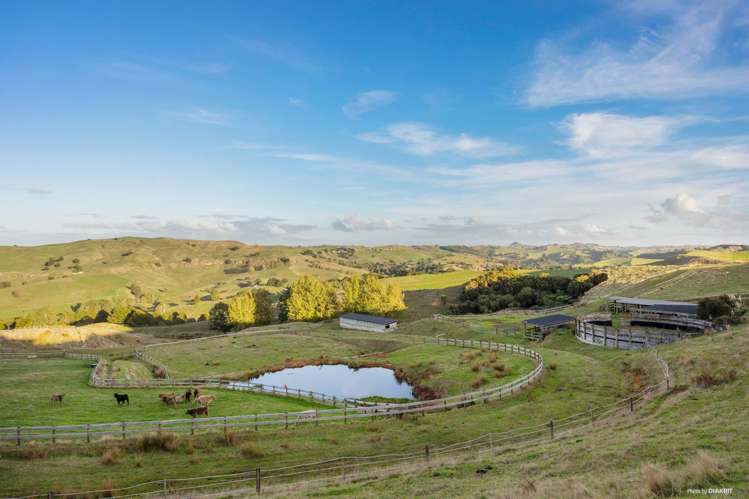 823 Wairamarama Onewhero Road Onewhero_4