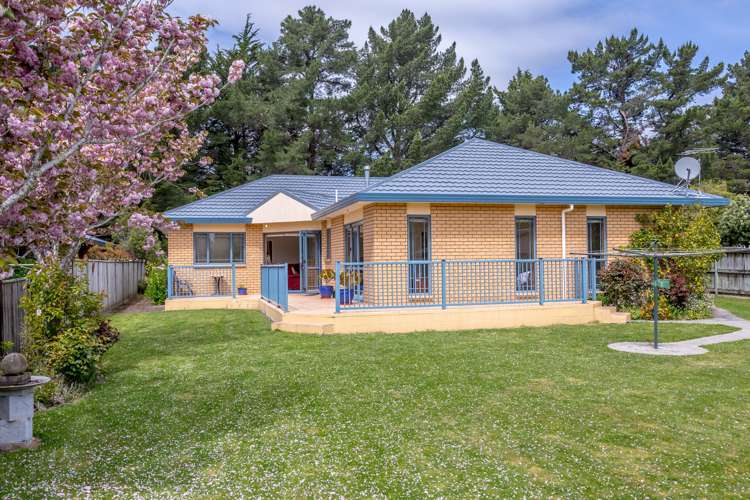 115 Manuka Street Masterton_0