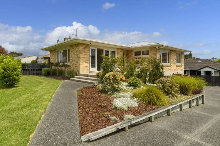 65a Fraser Street Tauranga South_1