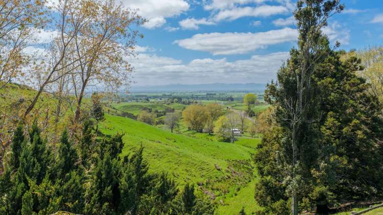 148 Mangawara Road Kaihere_4