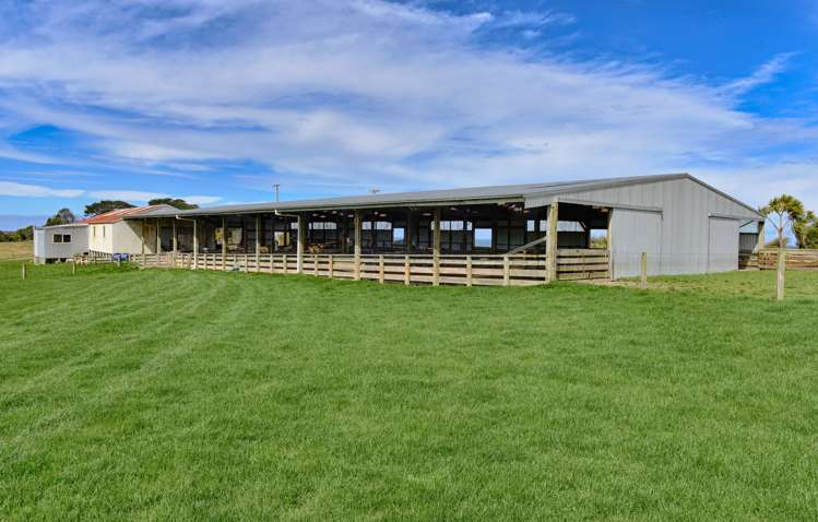 283 Otara Haldane Road Wyndham Surrounds_5