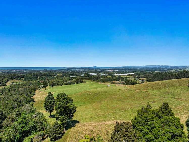348D Rea Road Katikati_11