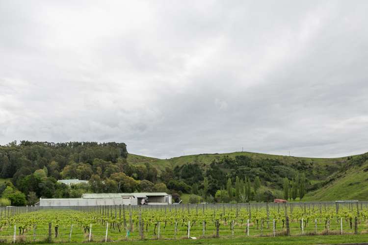 305 Church Road Greenmeadows_15