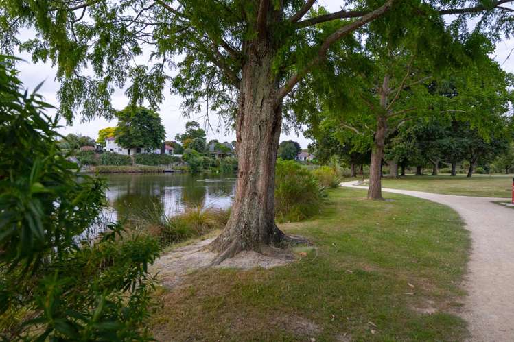 7 Kanuka Drive Hokowhitu_33