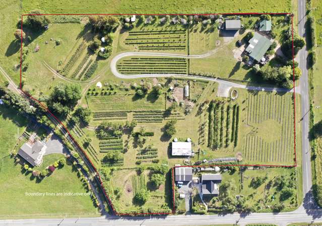 11 Mount Heslington Road Brightwater_1