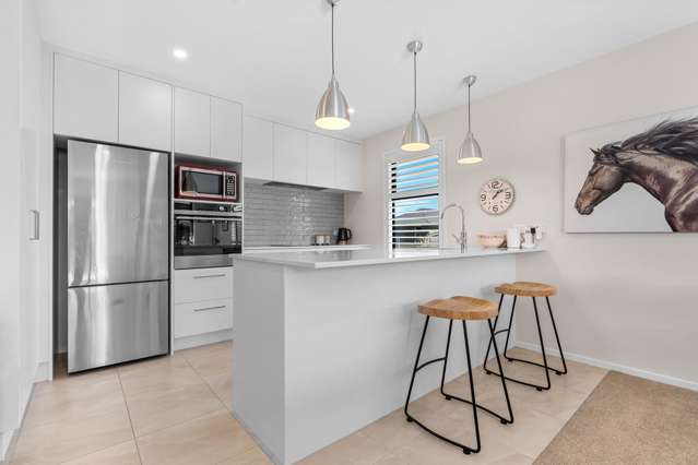 12 Maple Grove Masterton_4