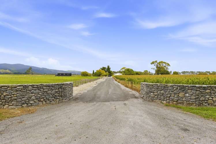 223 Kuku Beach Road and James Farm Lane Levin_3