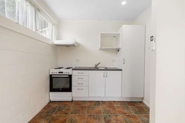 129a Ngapuhi Road Remuera_4