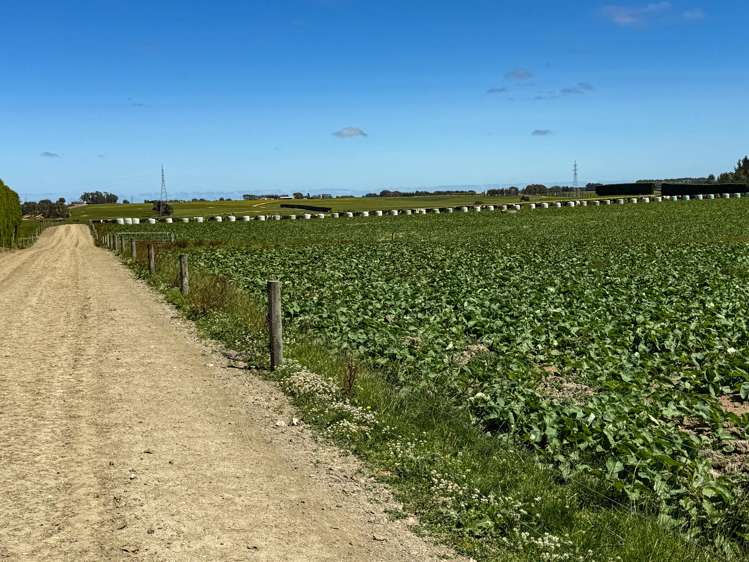 251 Rakahouka Hedgehope Road Mabel Bush_17