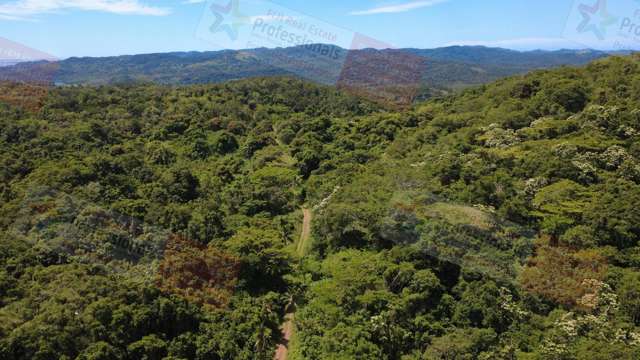 PRIME RURAL ACREAGE WITH RIVER FRONTAGE, CROPS & DEVELOPMENT POTENTIAL IN FIJI
