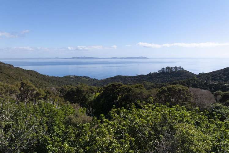 LOT 2 303 Waiaua Road Hihi_4
