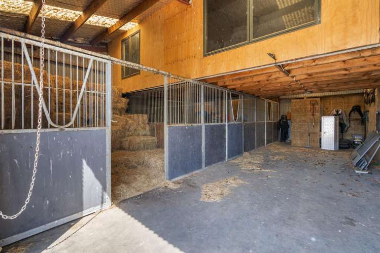 58 St Kilda Road Cambridge_21