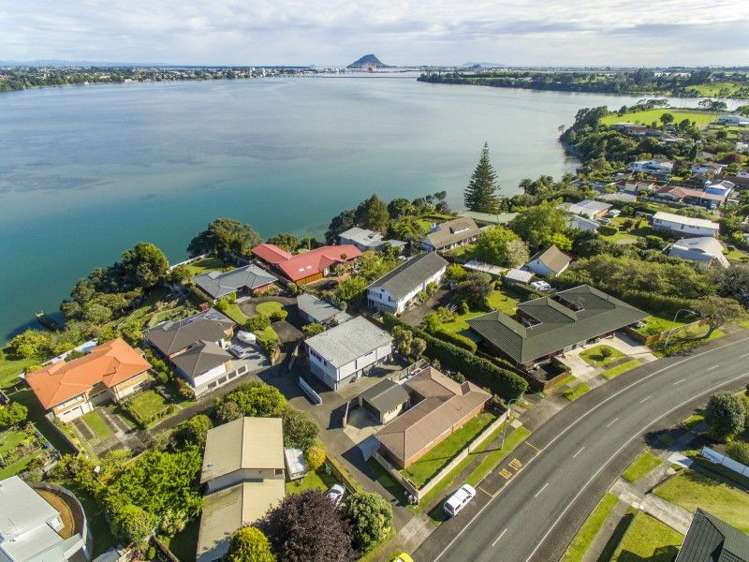 340B Maungatapu Road Tauranga South_15