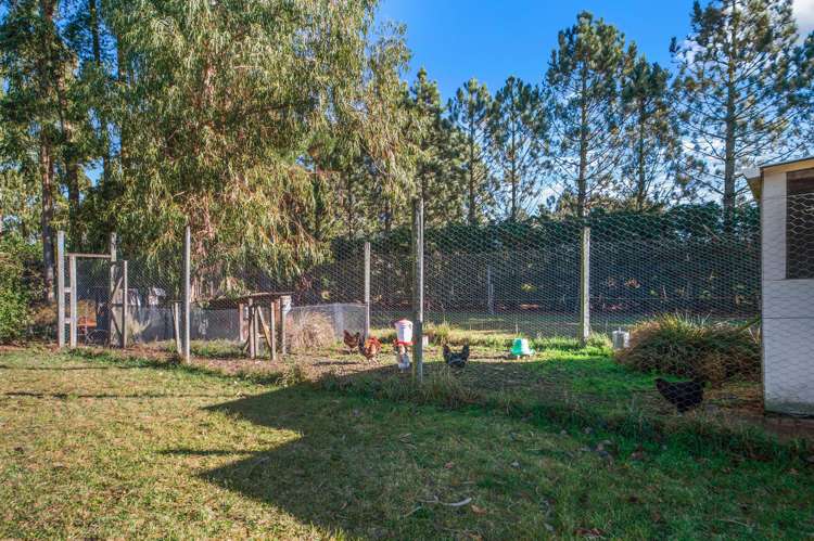 1055 Tram Road Mandeville_28
