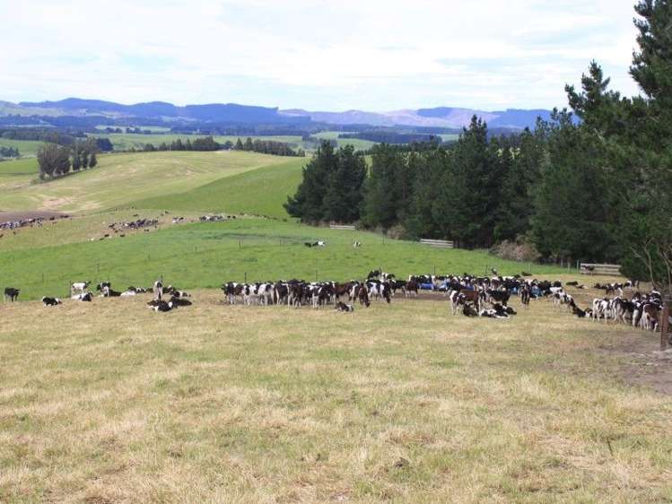 171 Hughes Road Palmerston_7