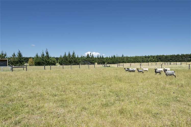 218 West Denbie Lane Swannanoa_18