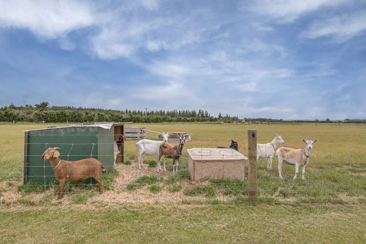 104 Worlingham Road West Eyreton_10