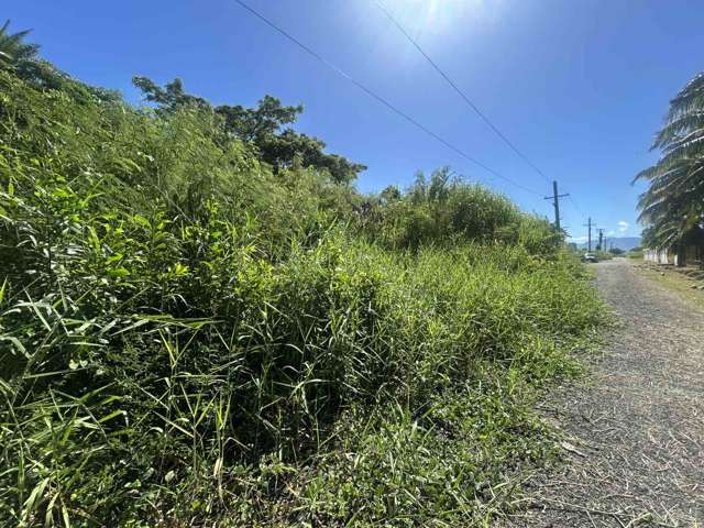 Lot 11 Pali Street Off Nasoso Road Nadi_2