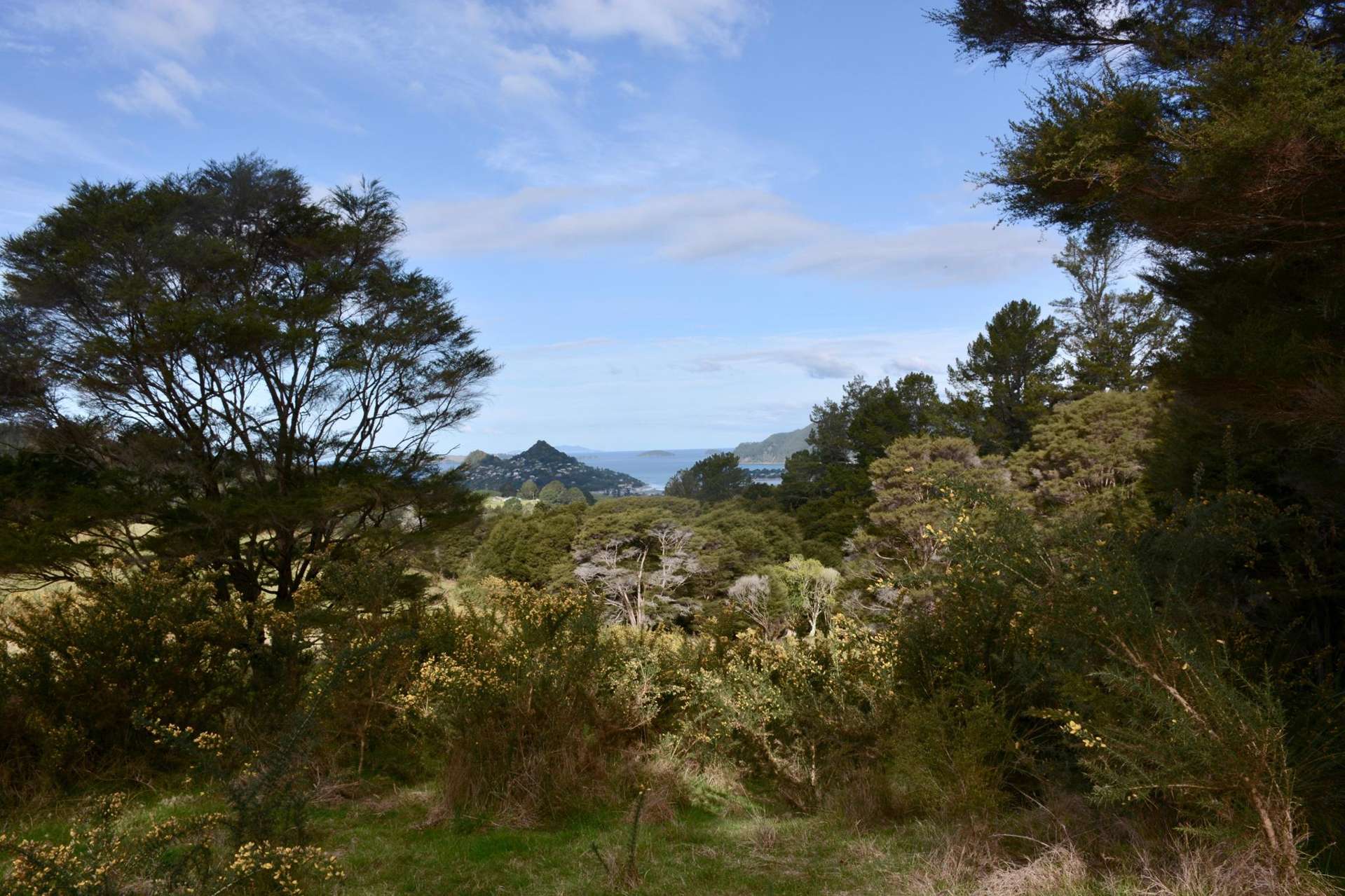 Lot 6, 131b Paul Road Tairua_0