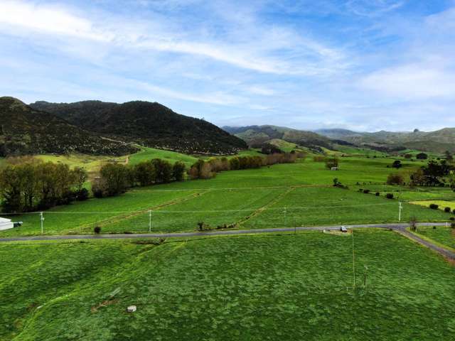 425 Rawhiti Road Te Aroha_1