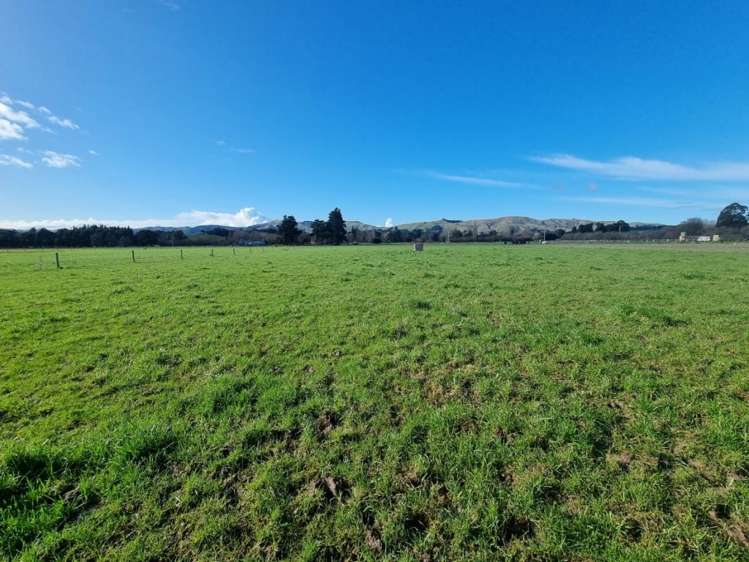 189 Homeview Road Cheviot_7