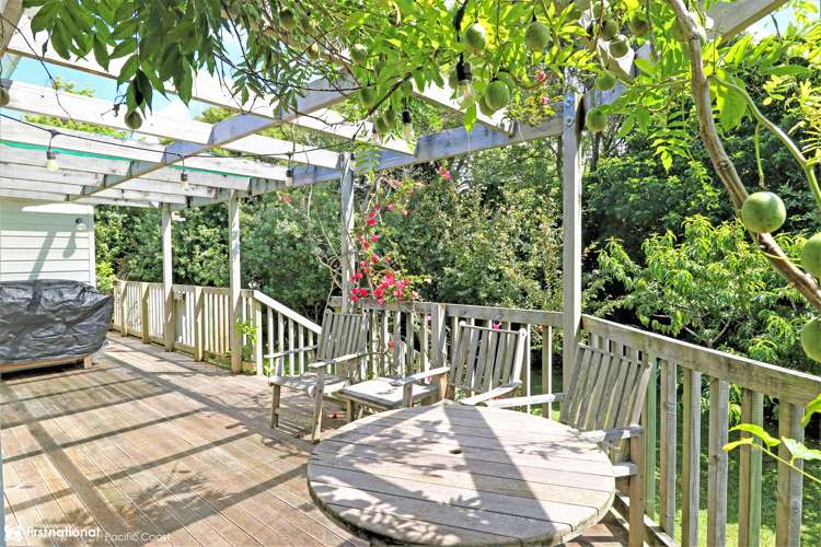 10 Stingray Crescent Whiritoa_30