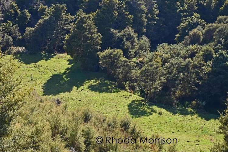 280 Central Road Mareretu_35