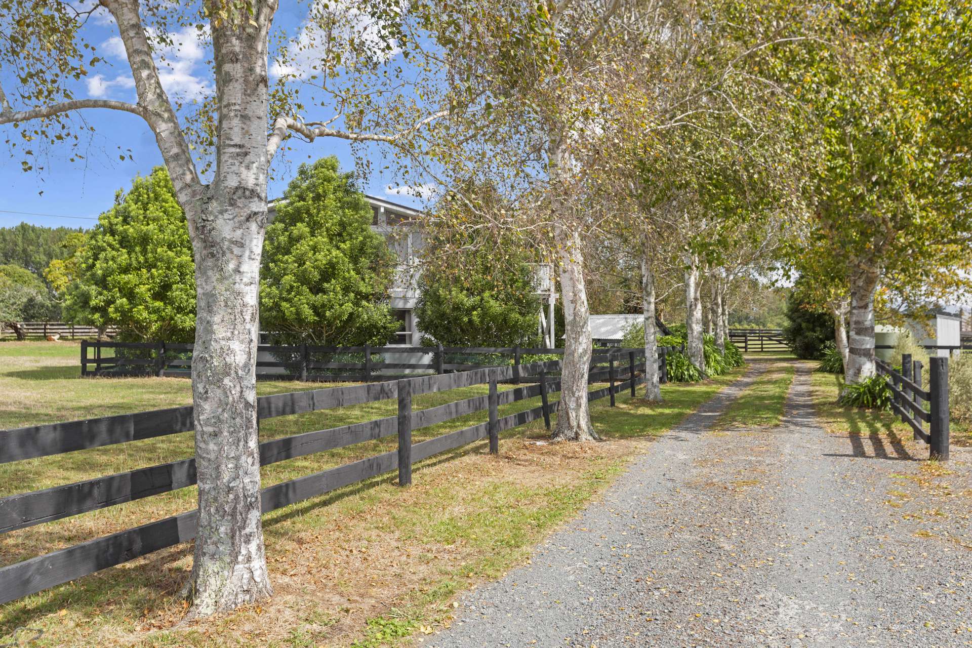 85 Tarr Road Ohaupo_0