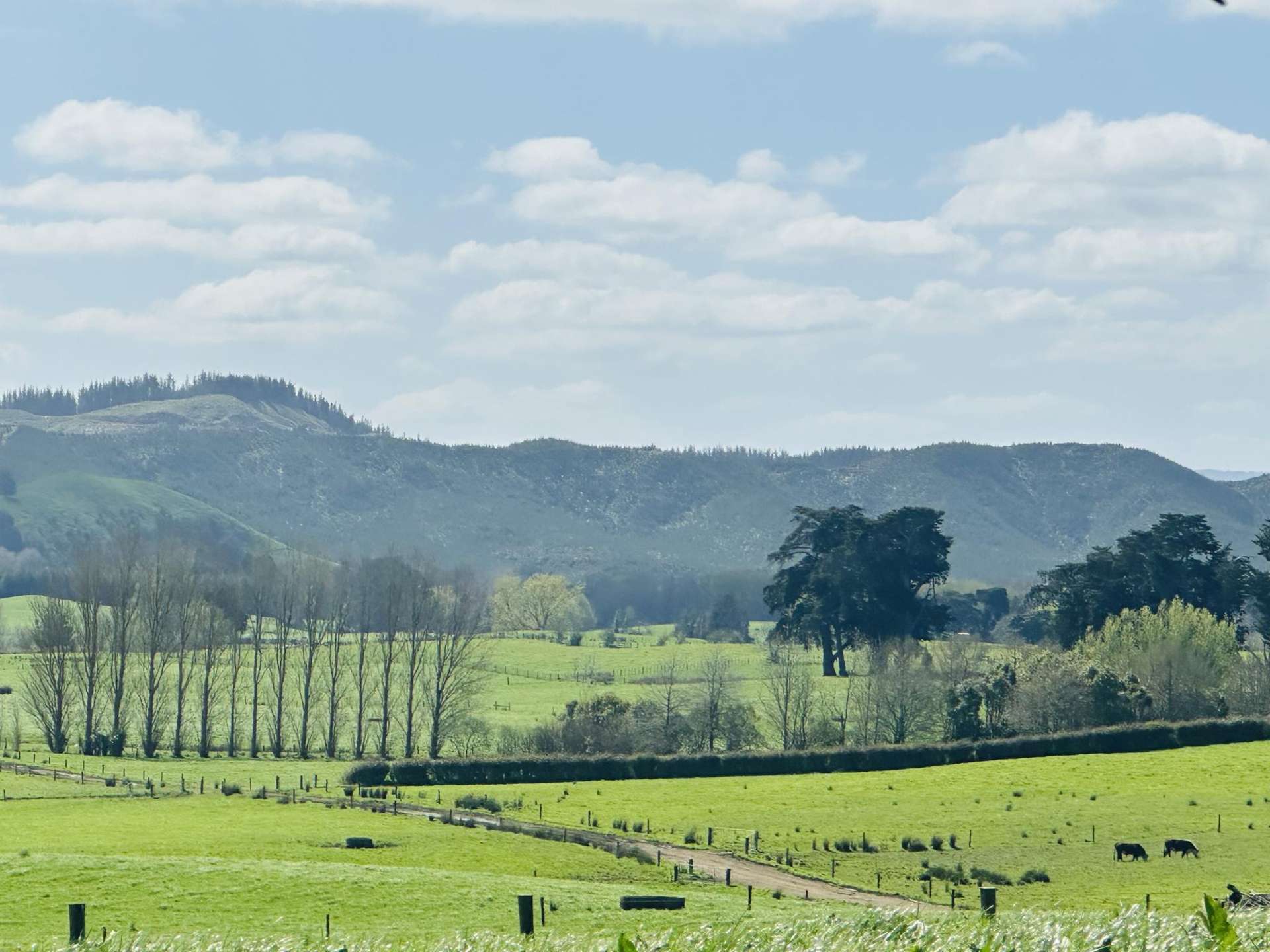 78B Falls Road Te Kauwhata_0