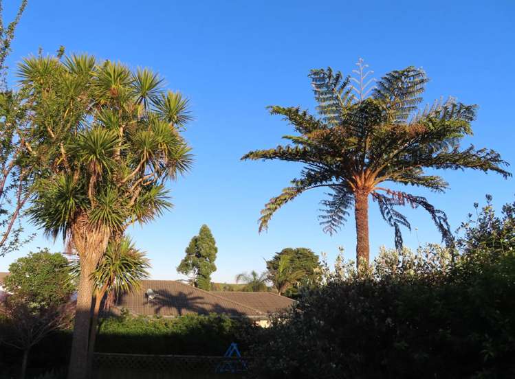 2/38 Stamford Park Road Mount Roskill_14