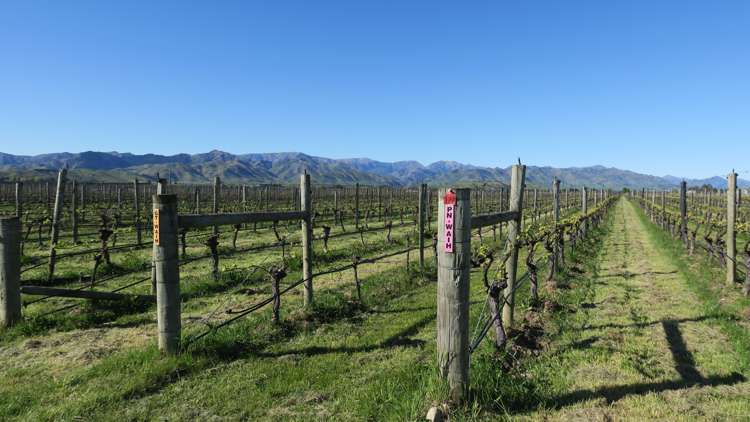 708 Waihopai Valley Road Waihopai Valley_19