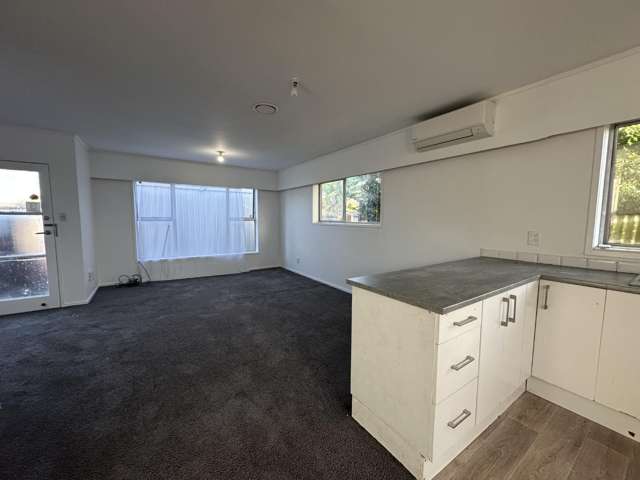 3/2 Ihaka Place 10695_2
