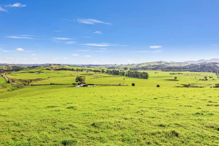 20 Salvation Road Totara North_10