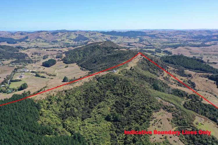 96 Dennis Road Kaipara Flats_3