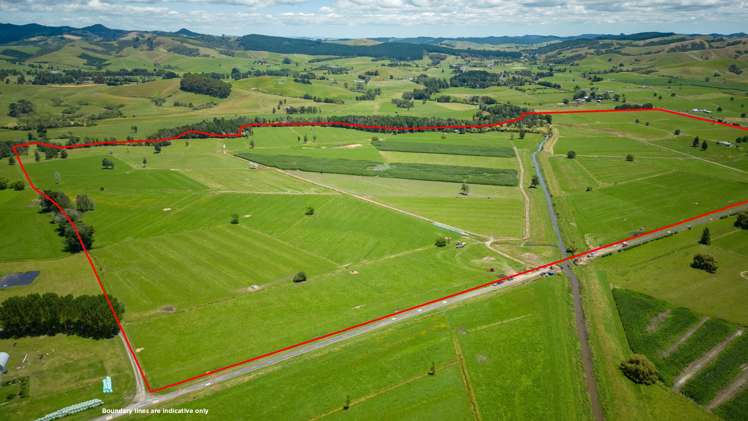 165 and 244 State Highway 25 Waitakaruru_11