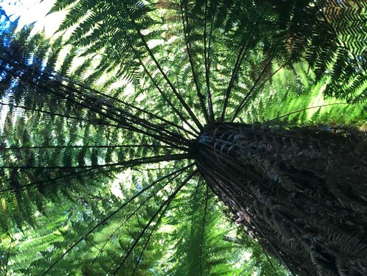 2a Lawrence Street Havelock_30