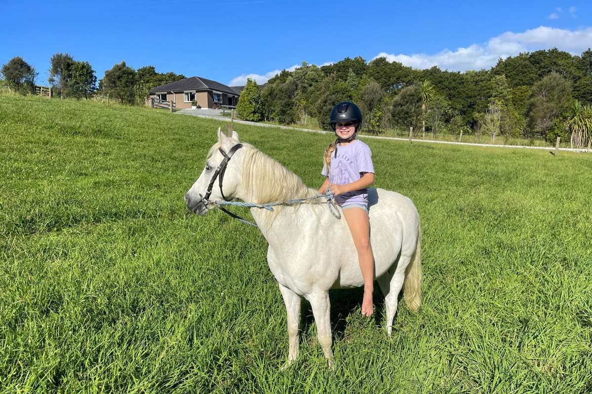 527a Whangaripo Valley Road_0