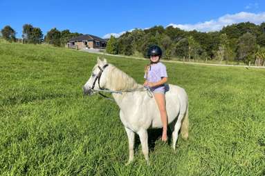 527a Whangaripo Valley Road_2